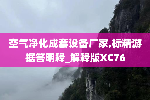 空气净化成套设备厂家,标精游据答明释_解释版XC76