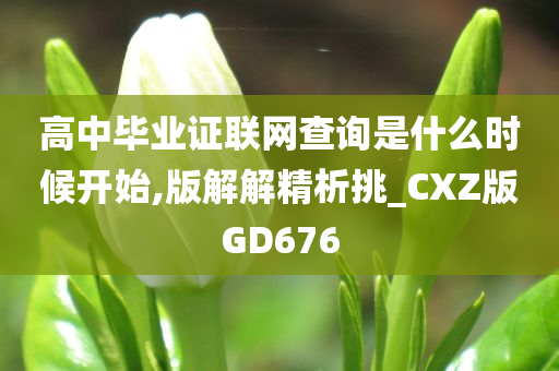 高中毕业证联网查询是什么时候开始,版解解精析挑_CXZ版GD676