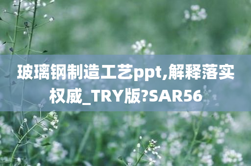 玻璃钢制造工艺ppt,解释落实权威_TRY版?SAR56