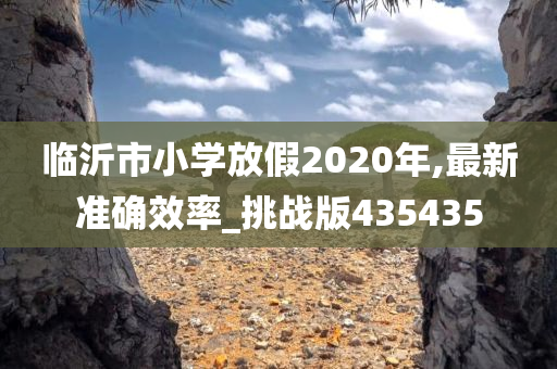 临沂市小学放假2020年,最新准确效率_挑战版435435