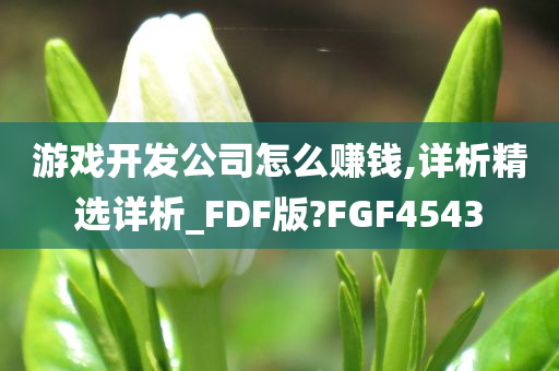 游戏开发公司怎么赚钱,详析精选详析_FDF版?FGF4543