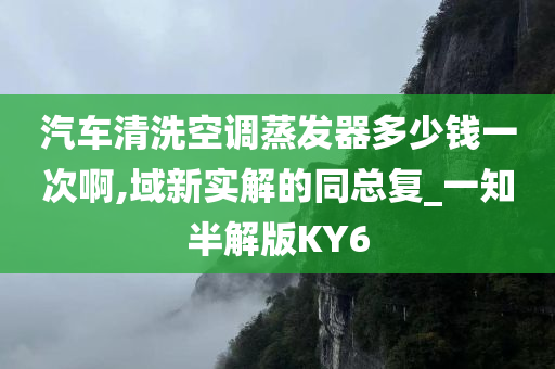 汽车清洗空调蒸发器多少钱一次啊,域新实解的同总复_一知半解版KY6