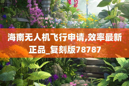 海南无人机飞行申请,效率最新正品_复刻版78787