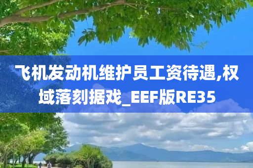 飞机发动机维护员工资待遇,权域落刻据戏_EEF版RE35