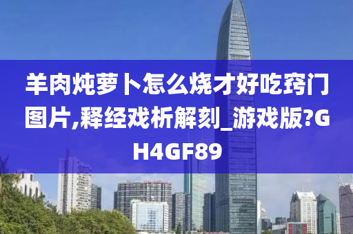 羊肉炖萝卜怎么烧才好吃窍门图片,释经戏析解刻_游戏版?GH4GF89