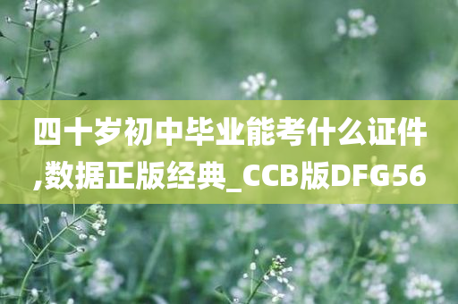 四十岁初中毕业能考什么证件,数据正版经典_CCB版DFG56