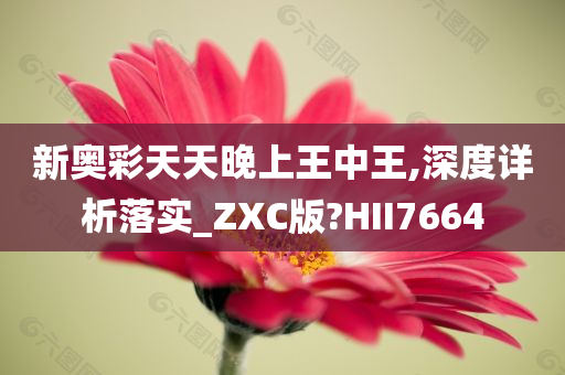 新奥彩天天晚上王中王,深度详析落实_ZXC版?HII7664