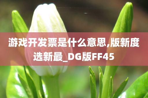 游戏开发票是什么意思,版新度选新最_DG版FF45