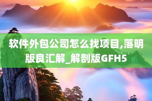 软件外包公司怎么找项目,落明版良汇解_解剖版GFH5