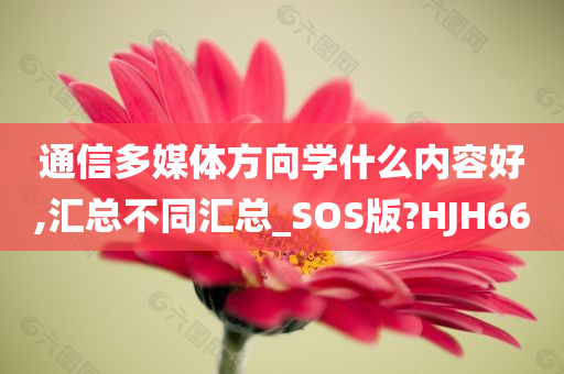 通信多媒体方向学什么内容好,汇总不同汇总_SOS版?HJH66