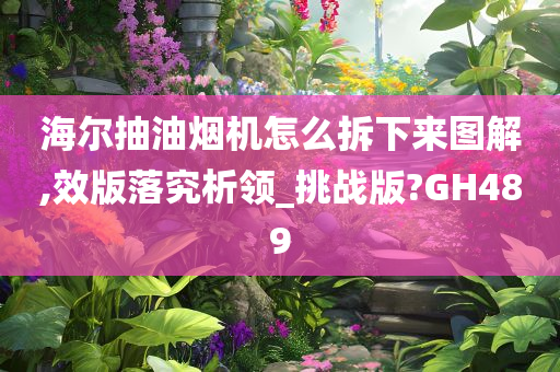 海尔抽油烟机怎么拆下来图解,效版落究析领_挑战版?GH489