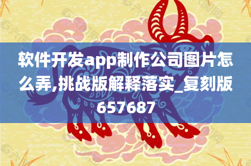 软件开发app制作公司图片怎么弄,挑战版解释落实_复刻版657687