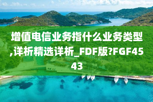 增值电信业务指什么业务类型,详析精选详析_FDF版?FGF4543