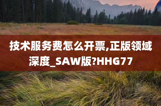 技术服务费怎么开票,正版领域深度_SAW版?HHG77