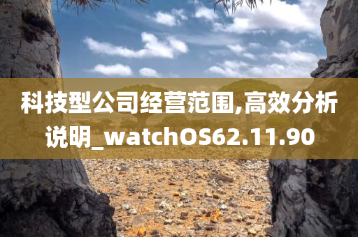 科技型公司经营范围,高效分析说明_watchOS62.11.90