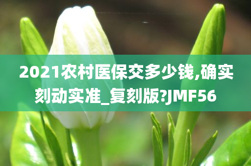 2021农村医保交多少钱,确实刻动实准_复刻版?JMF56