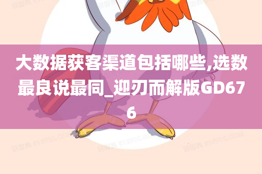 大数据获客渠道包括哪些,选数最良说最同_迎刃而解版GD676