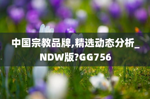 中国宗教品牌,精选动态分析_NDW版?GG756