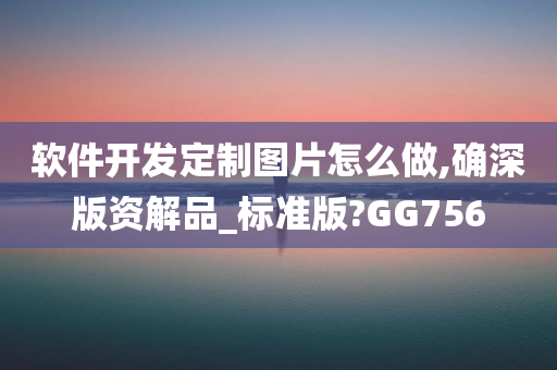 软件开发定制图片怎么做,确深版资解品_标准版?GG756