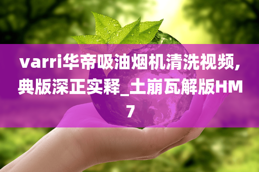 varri华帝吸油烟机清洗视频,典版深正实释_土崩瓦解版HM7