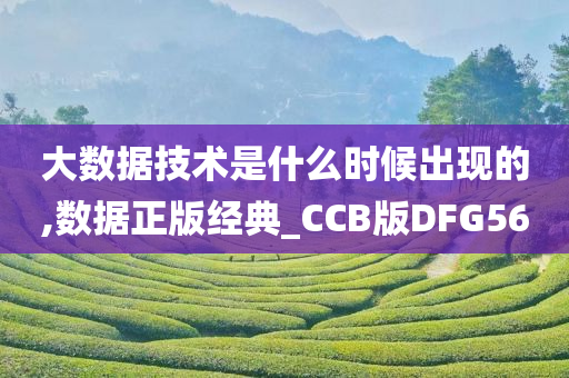 大数据技术是什么时候出现的,数据正版经典_CCB版DFG56