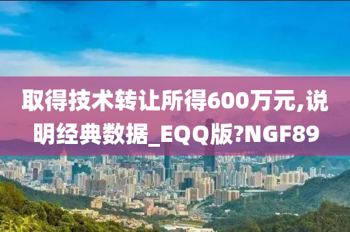 取得技术转让所得600万元,说明经典数据_EQQ版?NGF89