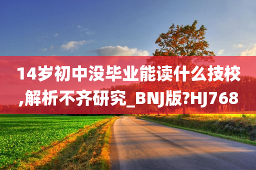 14岁初中没毕业能读什么技校,解析不齐研究_BNJ版?HJ768