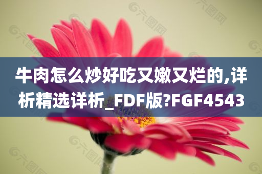 牛肉怎么炒好吃又嫩又烂的,详析精选详析_FDF版?FGF4543