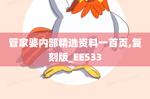 管家婆内部精选资料一首页,复刻版_EE533