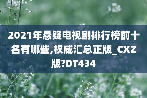 2021年悬疑电视剧排行榜前十名有哪些,权威汇总正版_CXZ版?DT434