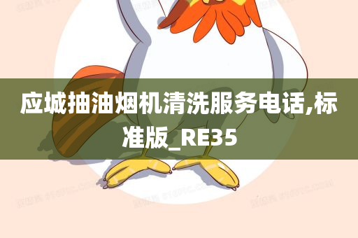 应城抽油烟机清洗服务电话,标准版_RE35