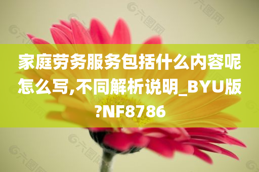 家庭劳务服务包括什么内容呢怎么写,不同解析说明_BYU版?NF8786