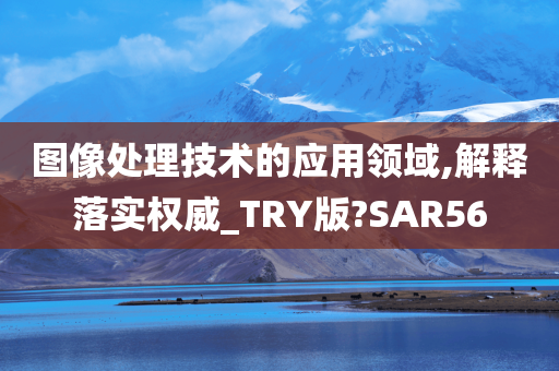 图像处理技术的应用领域,解释落实权威_TRY版?SAR56