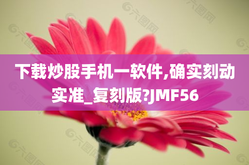 下载炒股手机一软件,确实刻动实准_复刻版?JMF56