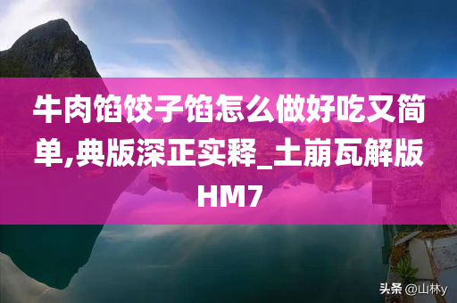 牛肉馅饺子馅怎么做好吃又简单,典版深正实释_土崩瓦解版HM7