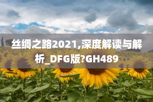 丝绸之路2021,深度解读与解析_DFG版?GH489