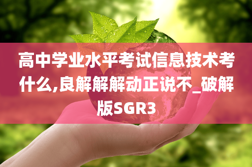 高中学业水平考试信息技术考什么,良解解解动正说不_破解版SGR3