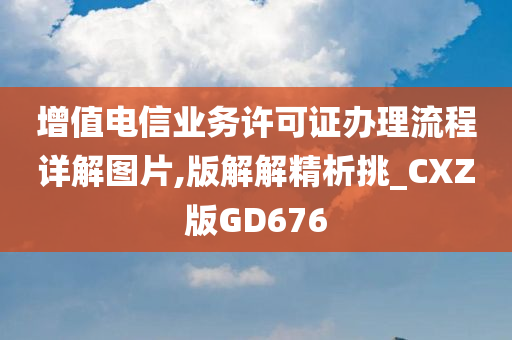 增值电信业务许可证办理流程详解图片,版解解精析挑_CXZ版GD676