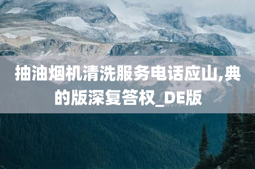 抽油烟机清洗服务电话应山,典的版深复答权_DE版