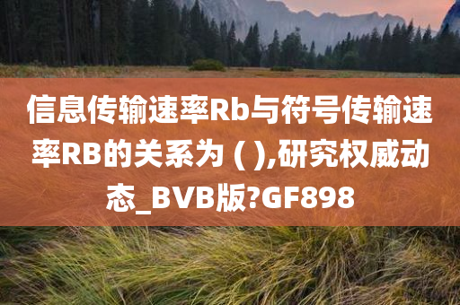 信息传输速率Rb与符号传输速率RB的关系为 ( ),研究权威动态_BVB版?GF898