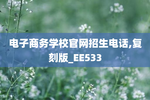 电子商务学校官网招生电话,复刻版_EE533