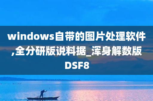 windows自带的图片处理软件,全分研版说料据_浑身解数版DSF8