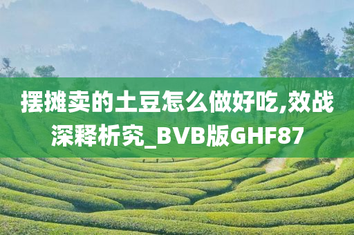 摆摊卖的土豆怎么做好吃,效战深释析究_BVB版GHF87