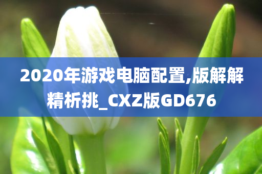 2020年游戏电脑配置,版解解精析挑_CXZ版GD676