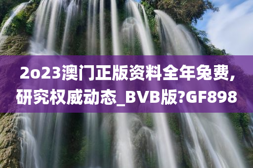 2o23澳门正版资料全年兔费,研究权威动态_BVB版?GF898