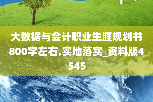 大数据与会计职业生涯规划书800字左右,实地落实_资料版4545