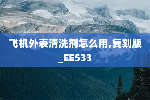 飞机外表清洗剂怎么用,复刻版_EE533