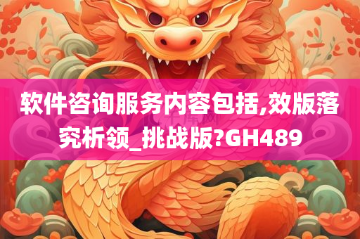 软件咨询服务内容包括,效版落究析领_挑战版?GH489