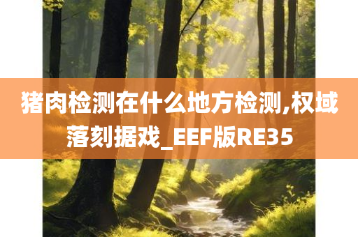 猪肉检测在什么地方检测,权域落刻据戏_EEF版RE35