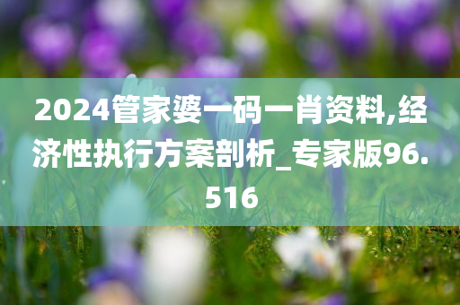 2024管家婆一码一肖资料,经济性执行方案剖析_专家版96.516